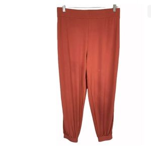 Lisa Rinna Collection Women's Pull-on Regular Knit Ankle Pant Marsala X-Large